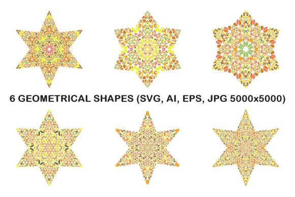 6 Floral Hexagram Stars for Crafts and Graphics